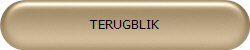 TERUGBLIK
